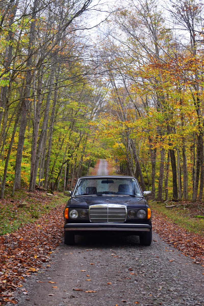 Illustration for article titled Drive and a walk